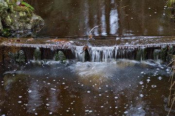 Kleiner Bach, Fluss im Märchenwald, Energie tanken im Wald