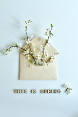Spring composition with an envelope and flowering sprigs of cherries on white background. Text THIS IS SPRING with wooden letter.Spring card template. Happy Birthday or Easter. Women's Day.Top view
