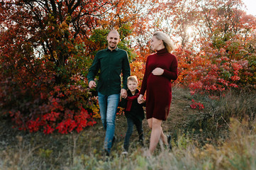 Fototapeta premium autumn landscape, red and yellow leaves, good sunny weather, family, mom dad and son for a walk, pregnant mother, blonde pregnant girl, joy, happiness, happy family expecting a baby, older brother