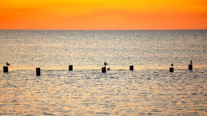 sunset on the beach