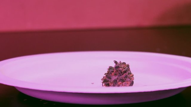 Bowl Trimmed Cannabis Being Set on a Plate