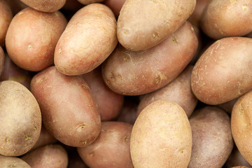 Fototapeta na wymiar Tubers of red pure potatoes in the shop window.