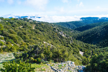Fototapeta na wymiar parc naturel régional du Luberon