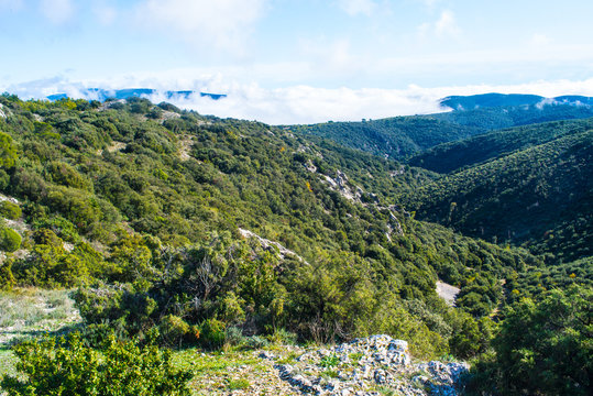 parc naturel r&eacute;gional du Luberon