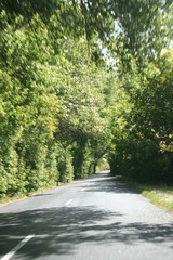 Fototapeta premium beautiful road