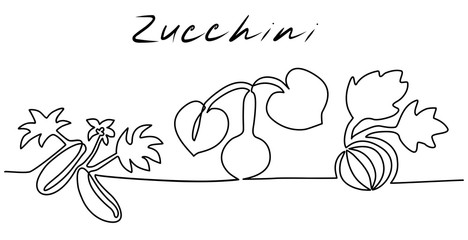 Different types of zucchini in the garden