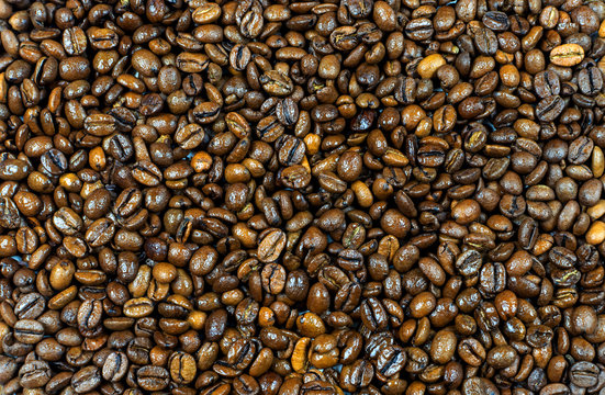 Fried wet coffee beans. Golden grains of ready-made coffee close-up. © Виктор Гончарук