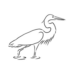 beautiful Heron, wild wading bird, vector sketch illustration