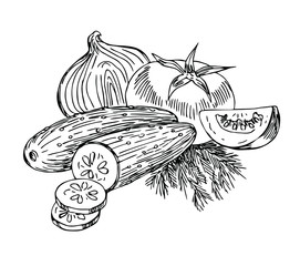 Cucumbers, onion, tomato, dill in line art style.