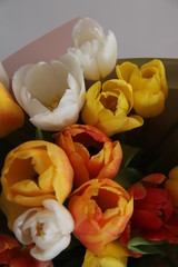 bouquet of sunny spring tulips