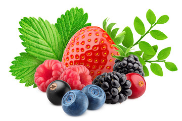 wild berries mix, strawberry, raspberry, currant, blueberry, cranberry, blackberry, isolated on...