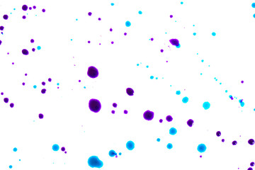 Close Up of Multicoloured Splattered Paint Blobs on White Paper for Abstract Background