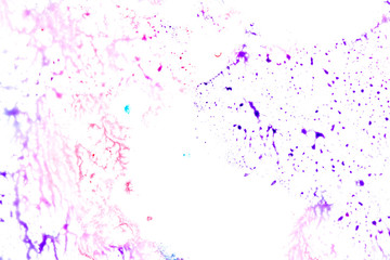 Close Up of Multicoloured Splattered Paint Blobs on White Paper for Abstract Background