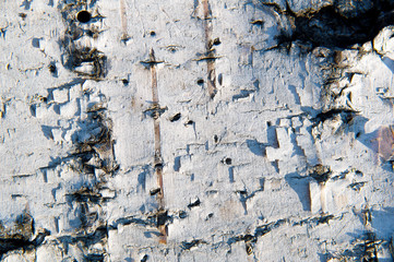old wall texture