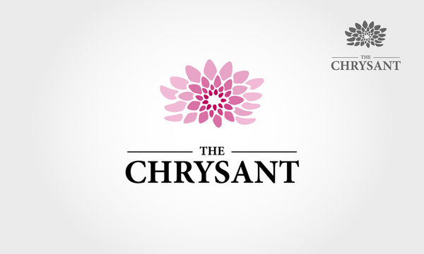 The Chrysant Vector Logo Template. Pink flower natural elegance illustration design with blooming chrysanthemum symbol. This logo clean and unique concept for a yoga class, beauty, woman, fashion, etc