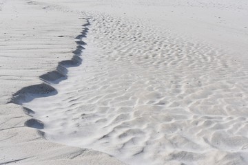 beach dunes
