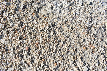 shells3