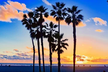 Fototapeten Santa Monica Beach in California at sunset © DD25