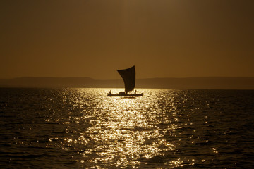 Against the light