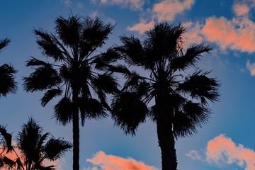 Santa Monica Beach in California at sunset