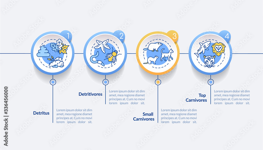 Aufkleber detritus food chain vector infographic template. detritivores and carnivores presentation design ele