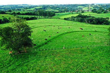 Panoramic view of beauty rural life scene. Great landscape