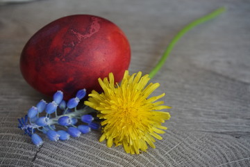 red easter egg and flowers on wooden background