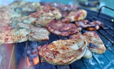 Meat on the grill