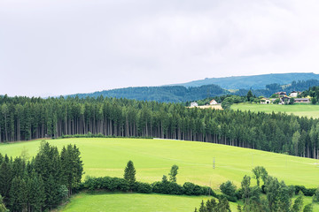Fototapeta na wymiar View of manicured alpine meadows against the backdrop of a pine forest and mountains. The concept of landscape, mountains, agriculture.