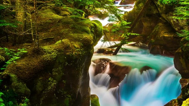 A Soft Waterfall In A Rich Deep Forest Full Of Moss FULL HD Time Lapse 