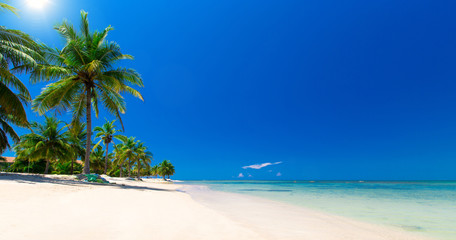 Obraz na płótnie Canvas beautiful beach and tropical sea
