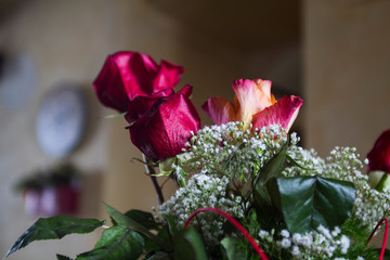 still life