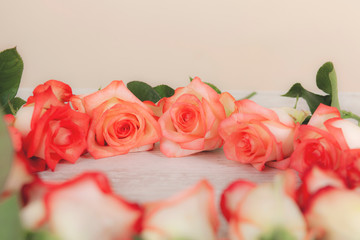 bouquet of pink roses