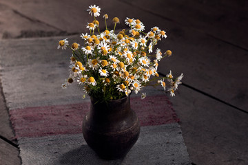 Rustic still life with a bouquet of daisies in a clay jug on the wooden floor.