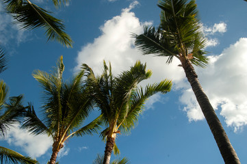 Isla Mauricio
