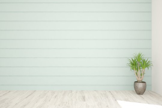 Blue empty room with green home plant. Scandinavian interior design. 3D illustration