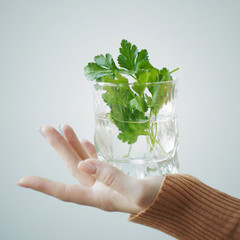 A glass of water with herbs in a woman's hand