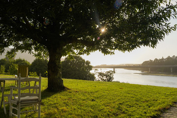 Sunset in the garden