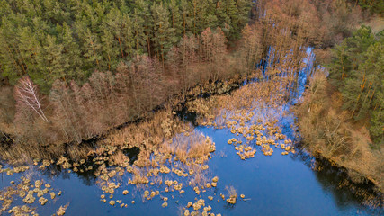 Bagno i las na Warmii i Mazurach. Polska