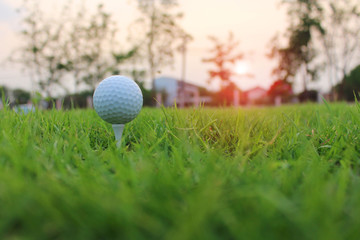 The white golf ball on the tee stand closely Of the players who play golf on the green lawn