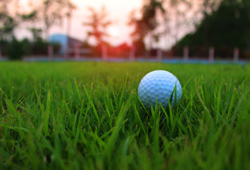 The white golf ball on the green.