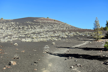 espagne, Tenerife, la montagne Samara dans le parc national du El Teide