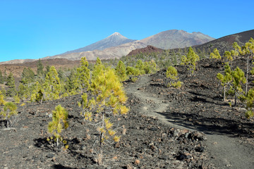 Espagne, tenerife, la montagne Samara avec la vue sur le El TEede