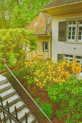 Inner yard with small garden of house Baden Baden Germany