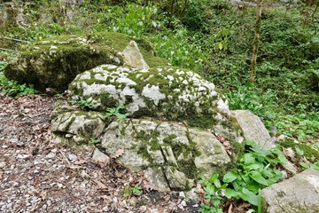Fototapeta na wymiar stones in moss in a spring mountain gorge