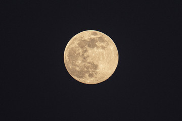 Moon #1