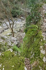stones in moss in a spring mountain gorge