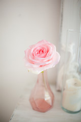 Beautiful pink rose in a stylish vase.