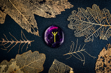 Algiz rune, prediction of the day