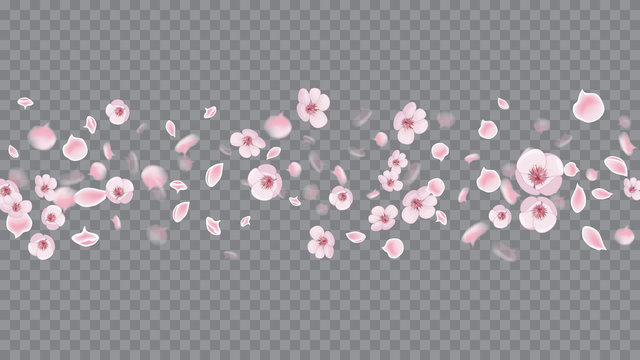 Modern Realistic Pattern. Abstract Closeup On Soft Transparent Backdrop. Retro Realistic Wedding Template. Pink on Transparent.